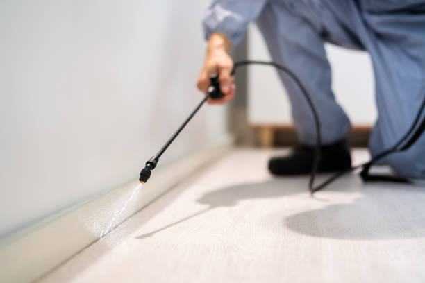 Licensed Pest Control service in Clear Lake, WI - Show Me Pest Control