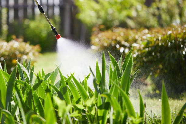 24/7 Emergency Mosquito Control experts in Clear Lake, WI
