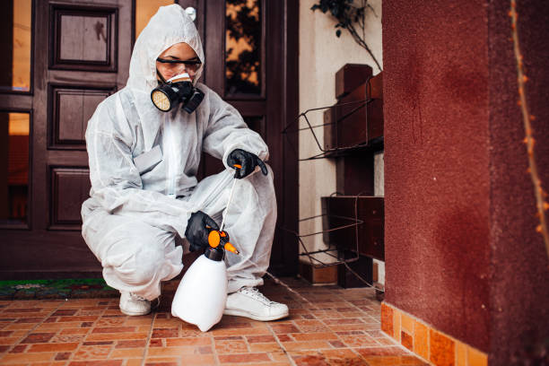 Reliable Mosquito Control contractor in Clear Lake, WI by Show Me Pest Control